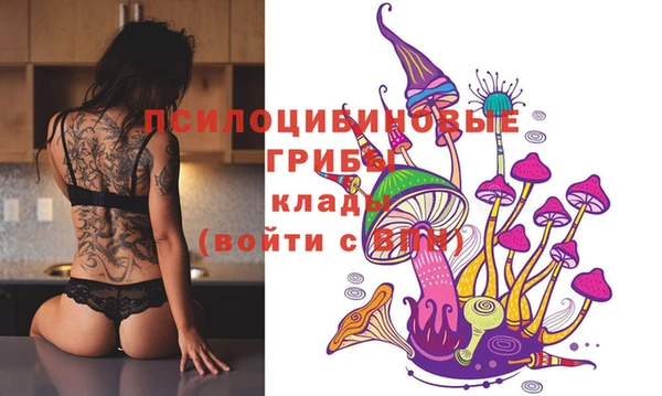 Альфа ПВП Тобольск