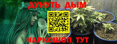 PSILOCYBIN Жуковский
