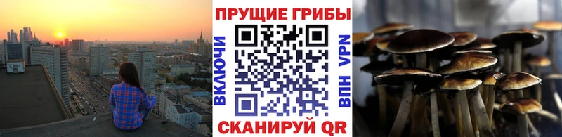 купить закладку  Карасук  Галлюциногенные грибы Magic Shrooms 