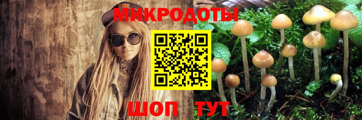 Псилоцибиновые грибы GOLDEN TEACHER Карасук